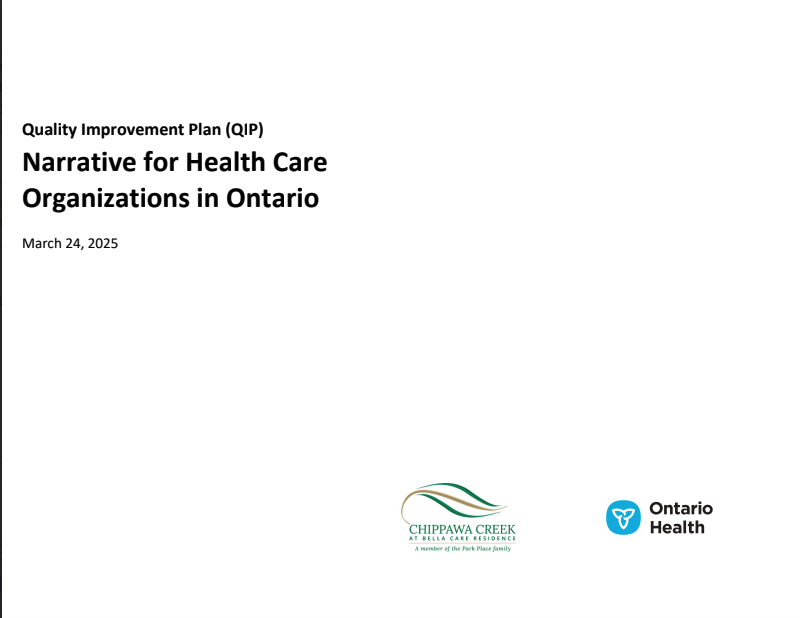Quality Improvement Narrative 2025